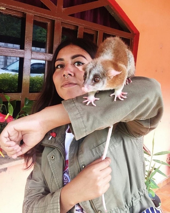 Daniela Alegría Sánchez, creadora de Mononoke naturalista